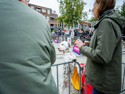 Zondagsmarkt Dog Day Twente 12 Oktober 2025-27