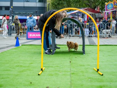 Zondagsmarkt Dog Day Twente 12 Oktober 2025-28