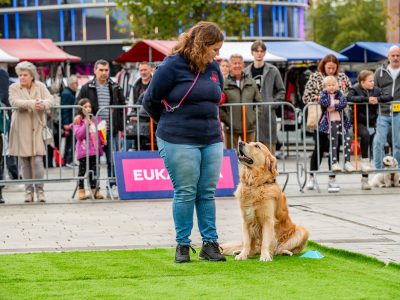 Zondagsmarkt Dog Day Twente 12 Oktober 2025-33
