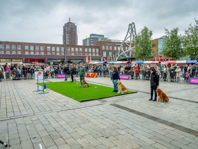 Zondagsmarkt Dog Day Twente 12 Oktober 2025-36