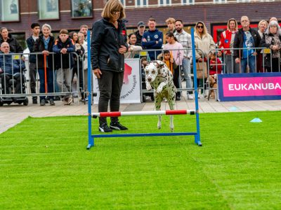 Zondagsmarkt Dog Day Twente 12 Oktober 2025-37