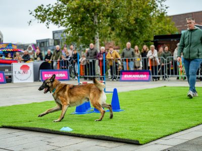 Zondagsmarkt Dog Day Twente 12 Oktober 2025-39