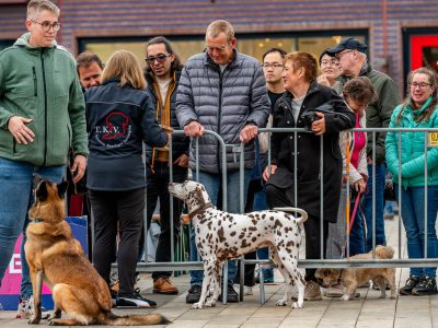Zondagsmarkt Dog Day Twente 12 Oktober 2025-40