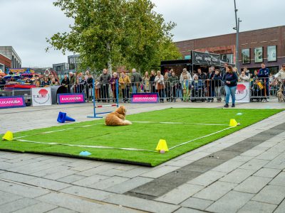 Zondagsmarkt Dog Day Twente 12 Oktober 2025-41