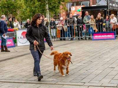 Zondagsmarkt Dog Day Twente 12 Oktober 2025-42