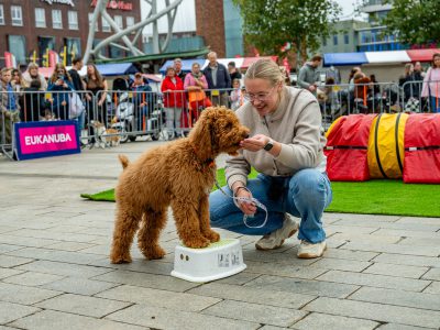 Zondagsmarkt Dog Day Twente 12 Oktober 2025-48