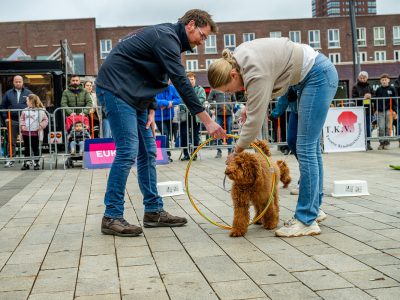 Zondagsmarkt Dog Day Twente 12 Oktober 2025-49