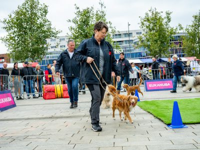 Zondagsmarkt Dog Day Twente 12 Oktober 2025-5