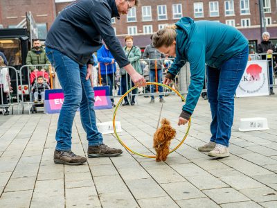 Zondagsmarkt Dog Day Twente 12 Oktober 2025-50