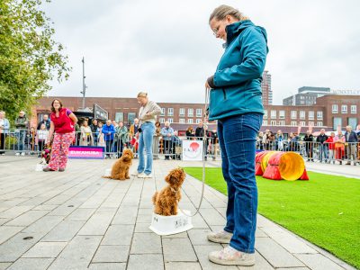 Zondagsmarkt Dog Day Twente 12 Oktober 2025-52