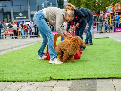 Zondagsmarkt Dog Day Twente 12 Oktober 2025-56