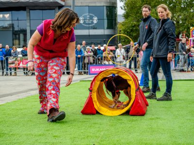 Zondagsmarkt Dog Day Twente 12 Oktober 2025-57
