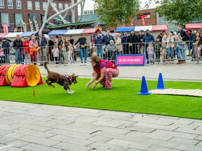 Zondagsmarkt Dog Day Twente 12 Oktober 2025-58
