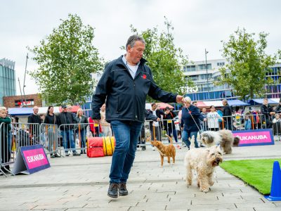 Zondagsmarkt Dog Day Twente 12 Oktober 2025-6