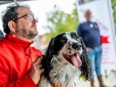 Zondagsmarkt Dog Day Twente 12 Oktober 2025-78