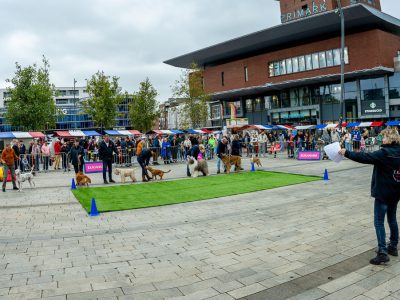 Zondagsmarkt Dog Day Twente 12 Oktober 2025-8