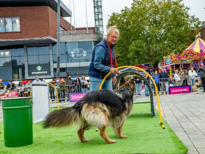 Zondagsmarkt Dog Day Twente 12 Oktober 2025-81