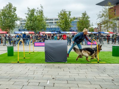 Zondagsmarkt Dog Day Twente 12 Oktober 2025-83