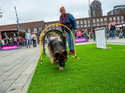 Zondagsmarkt Dog Day Twente 12 Oktober 2025-84