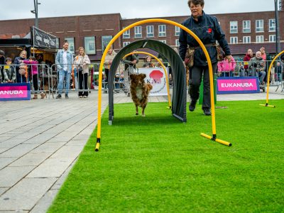 Zondagsmarkt Dog Day Twente 12 Oktober 2025-86