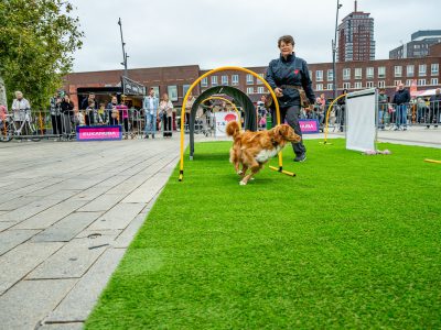 Zondagsmarkt Dog Day Twente 12 Oktober 2025-87