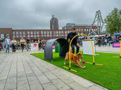 Zondagsmarkt Dog Day Twente 12 Oktober 2025-88