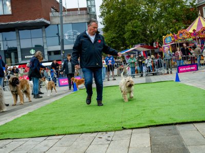 Zondagsmarkt Dog Day Twente 12 Oktober 2025-9