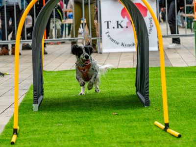 Zondagsmarkt Dog Day Twente 12 Oktober 2025-91