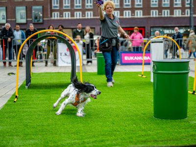 Zondagsmarkt Dog Day Twente 12 Oktober 2025-94