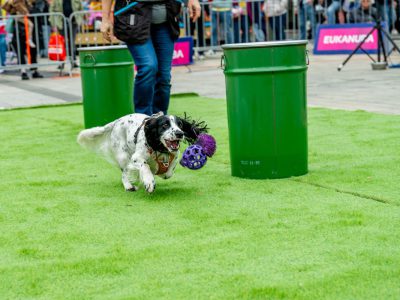 Zondagsmarkt Dog Day Twente 12 Oktober 2025-96