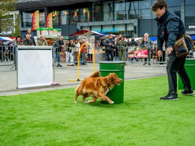 Zondagsmarkt Dog Day Twente 12 Oktober 2025-99